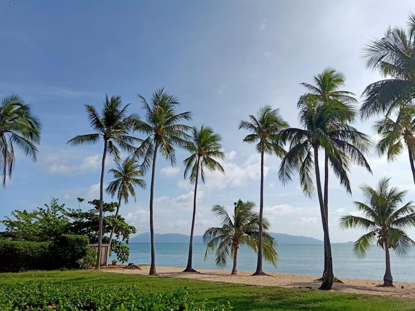 Coco Palm - Sha Extra Resort