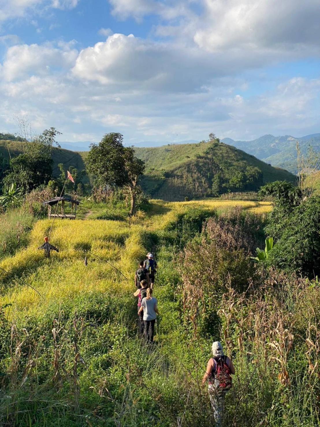 Baan Soontree 3* Chiang Rai