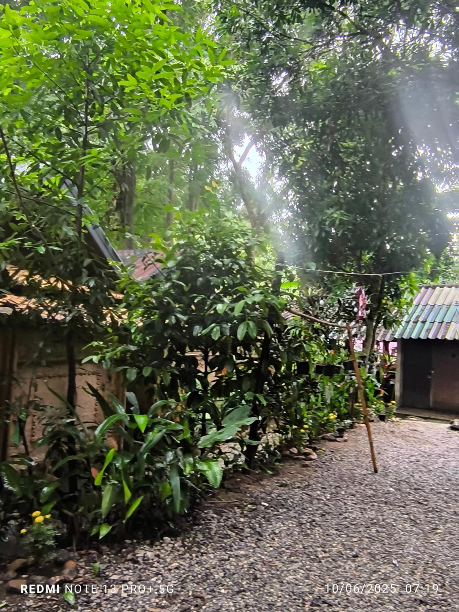 Hill Tribe Art House Homestay *