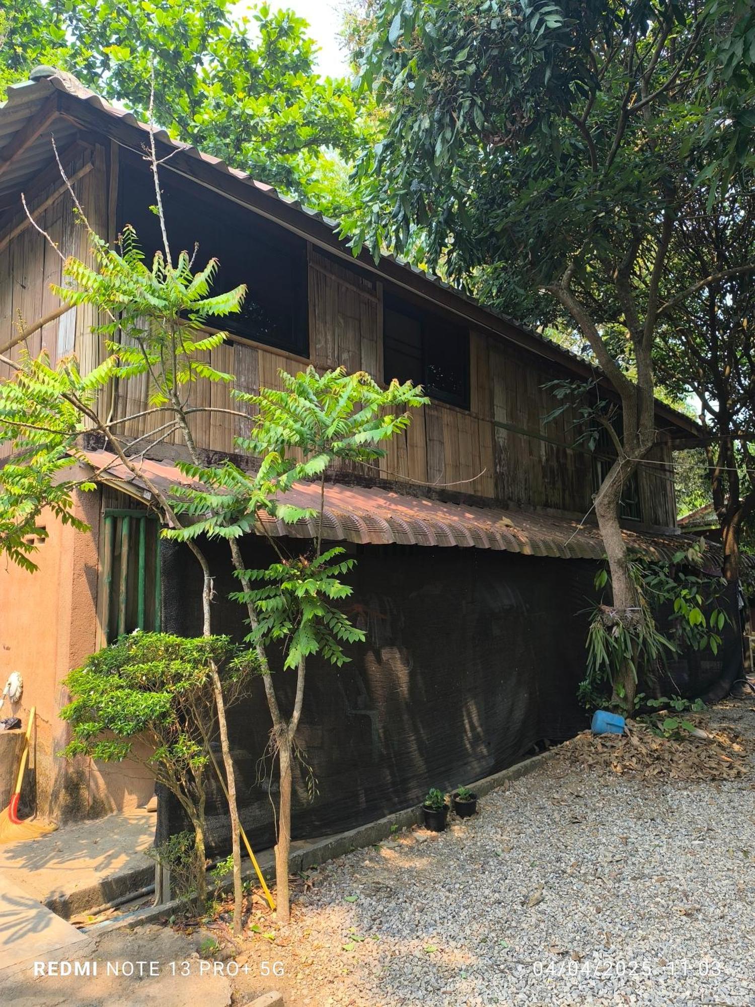 Hill Tribe Art House Homestay Chiang Rai