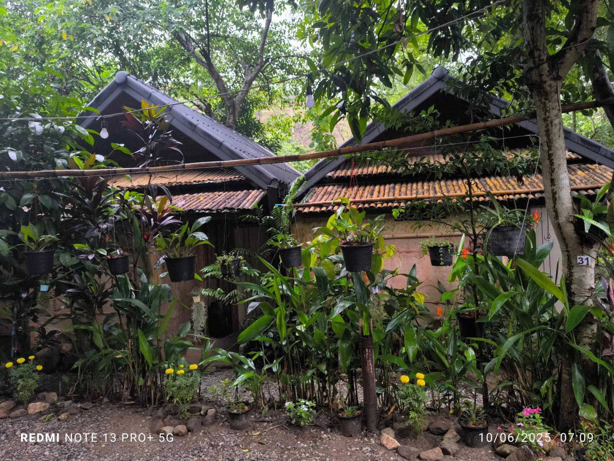 Homestay Hill Tribe Art House