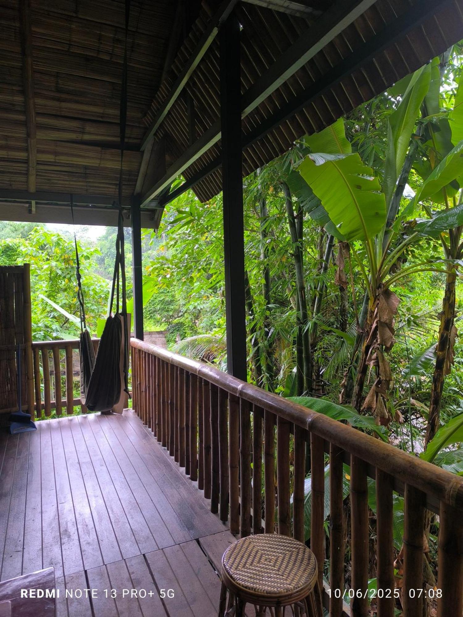 Hill Tribe Art House Homestay Chiang Rai