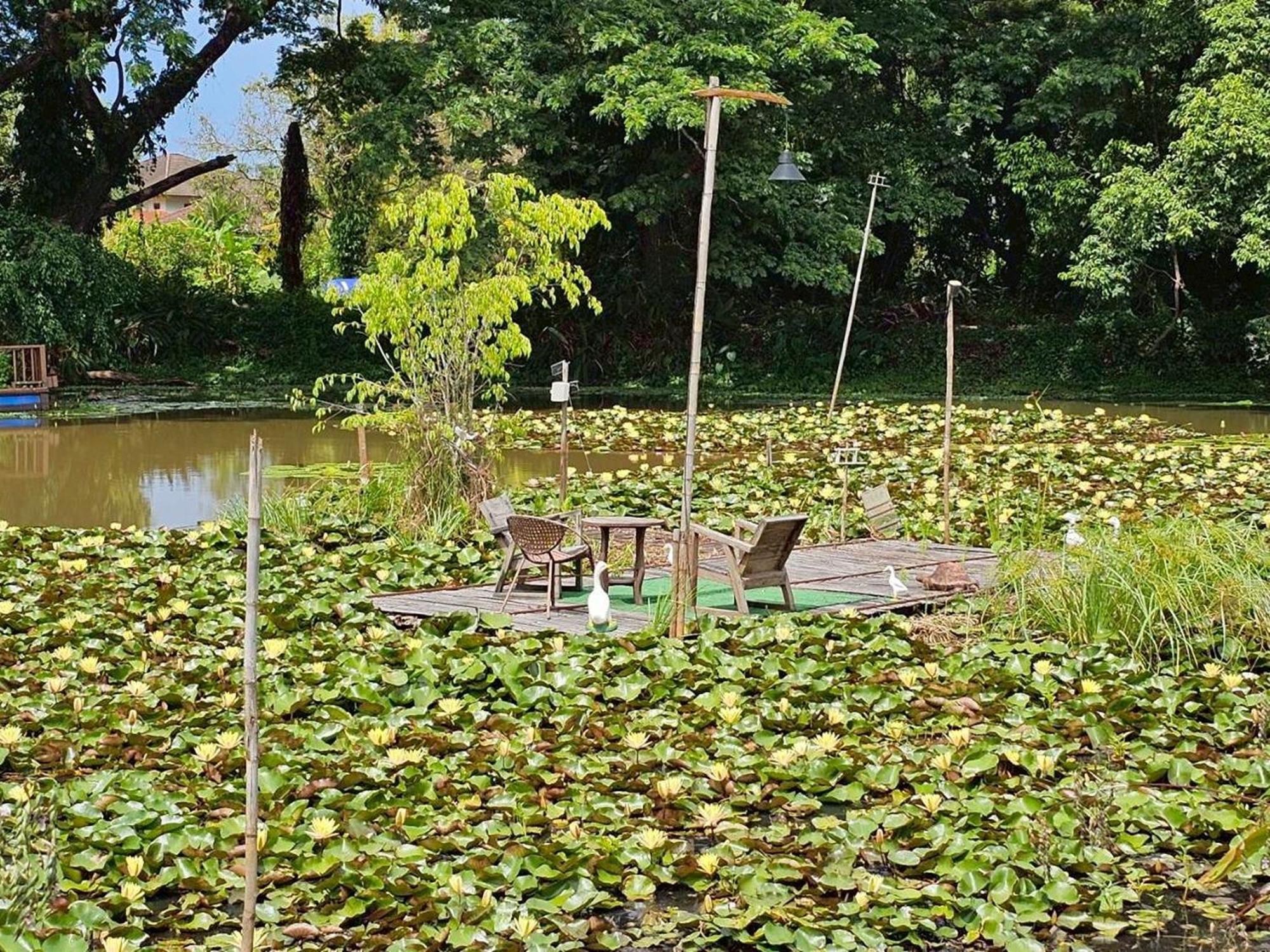 Saikaew