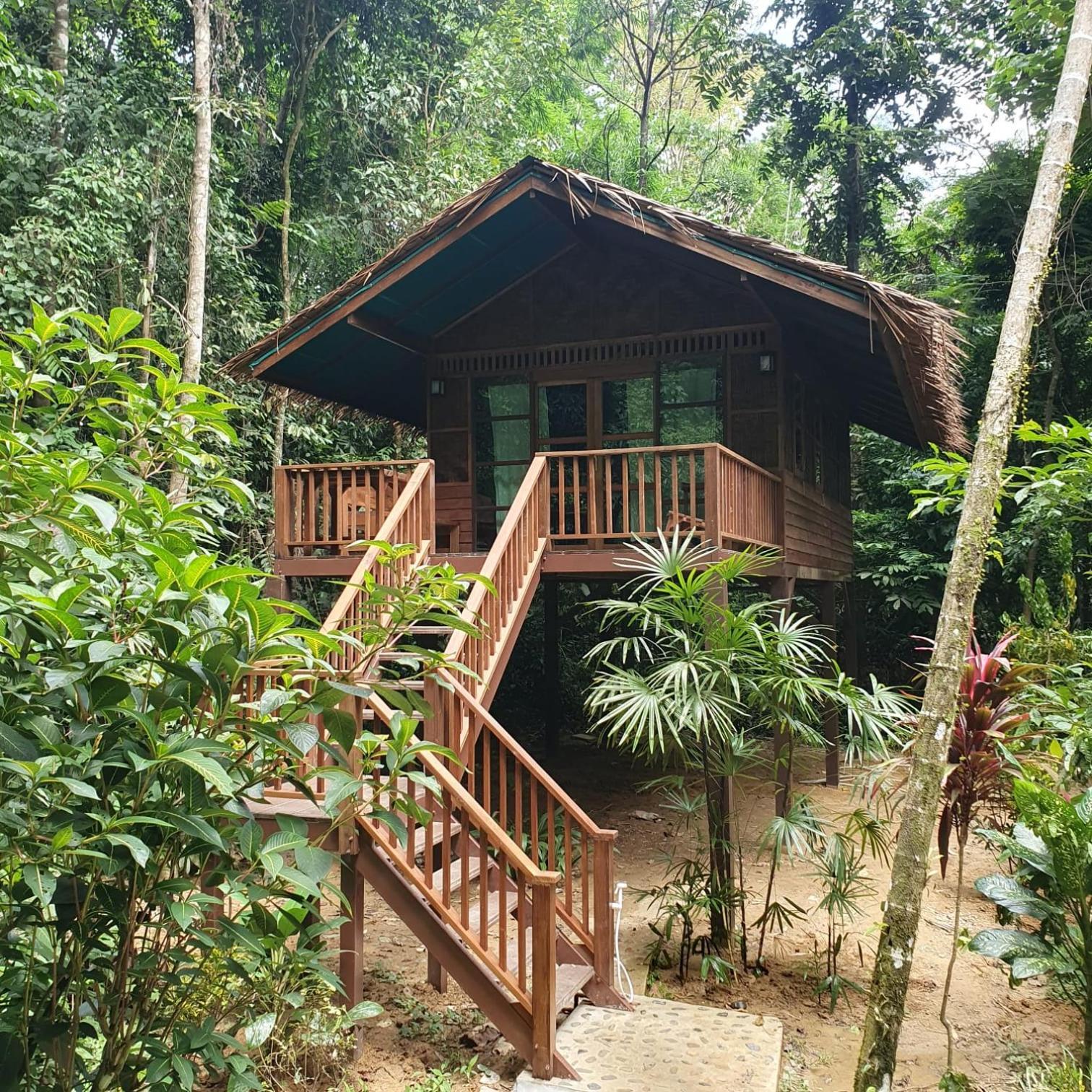 Resort Our Jungle House Khao Sok National Park