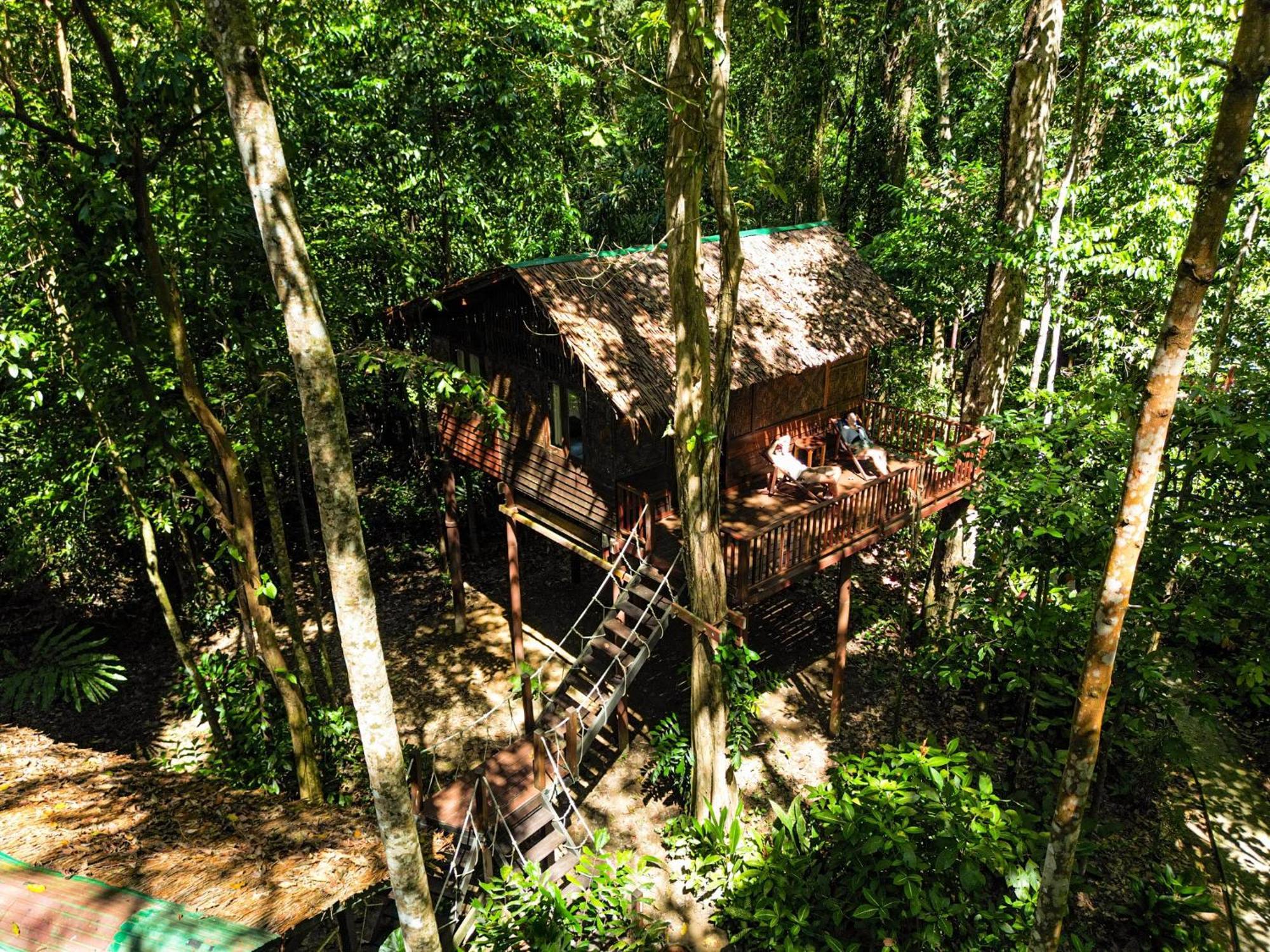 Resort Our Jungle House Khao Sok National Park