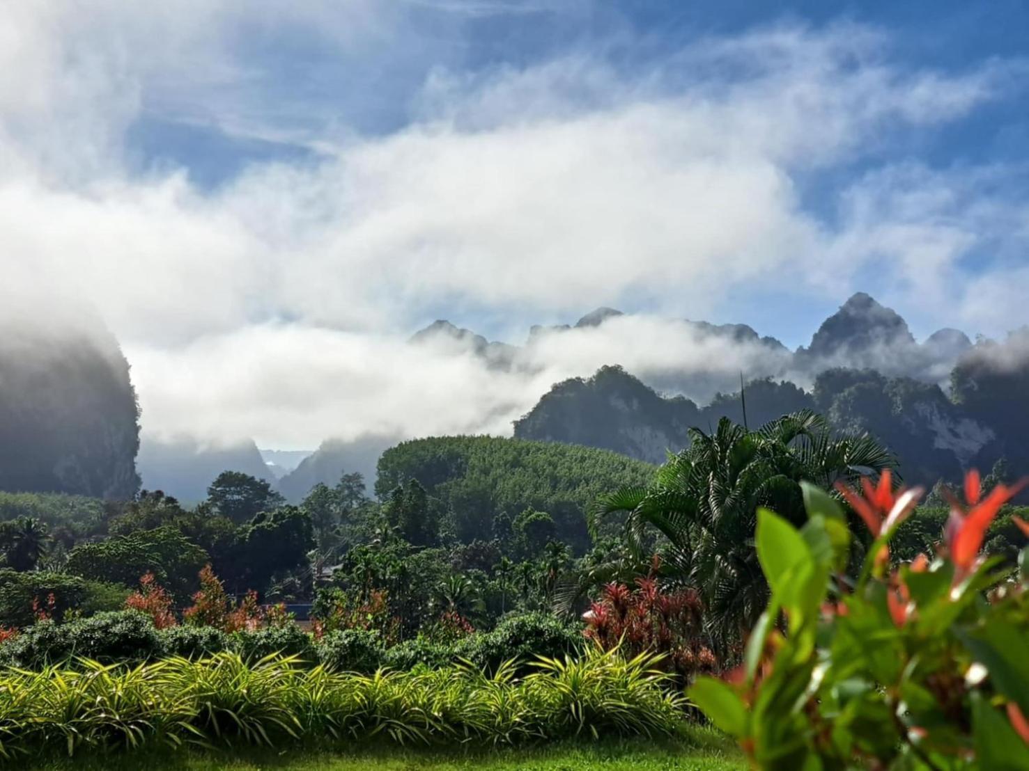 Resort K.k. Park Khao Sok National Park