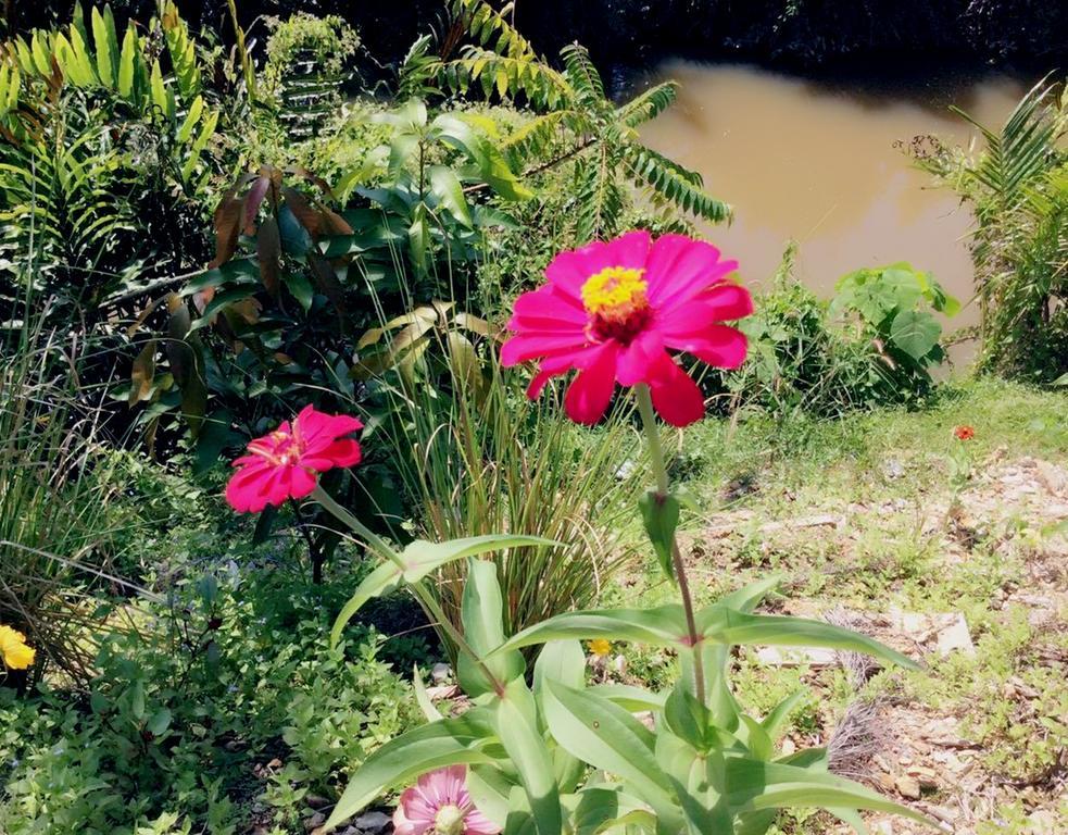 Lanta Wanida Resort