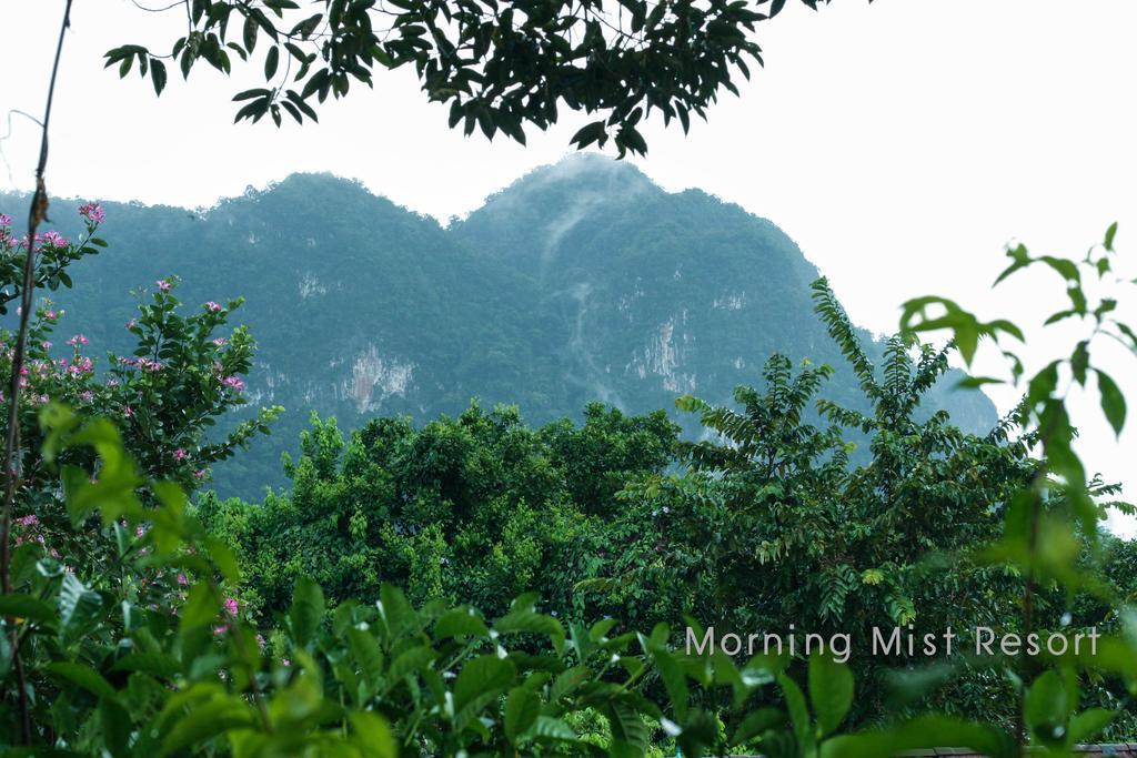 Khao Sok Morning Mist Resort 3*