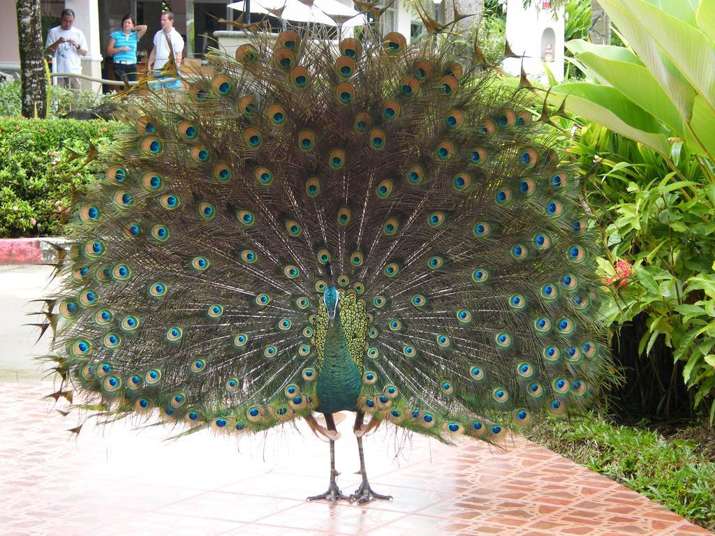 Chang Park Resort