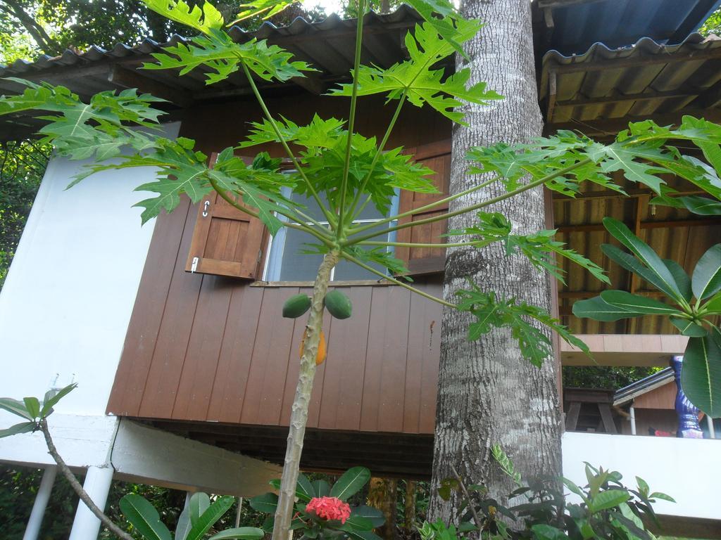 Elephant & Castle Bed & Breakfast