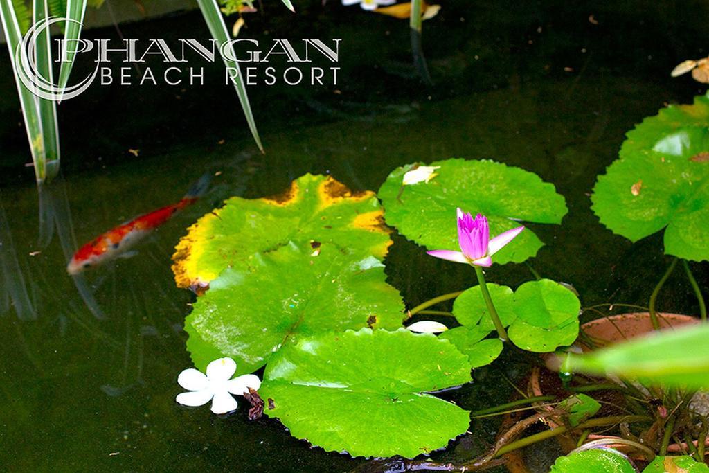 Phangan Resort Baan Tai