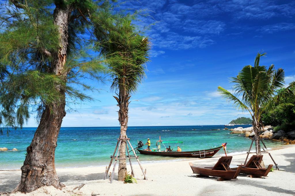 Club Koh Tao