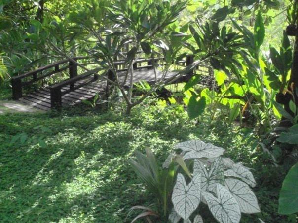 Hotel Aqua Pai