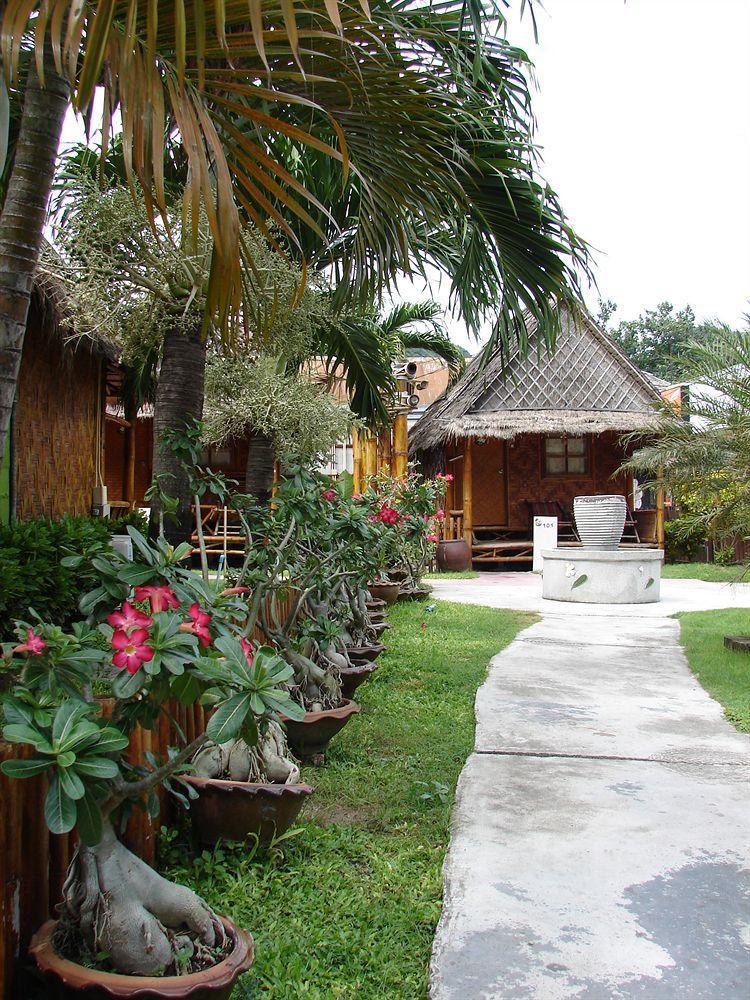 Twin Palms 2*