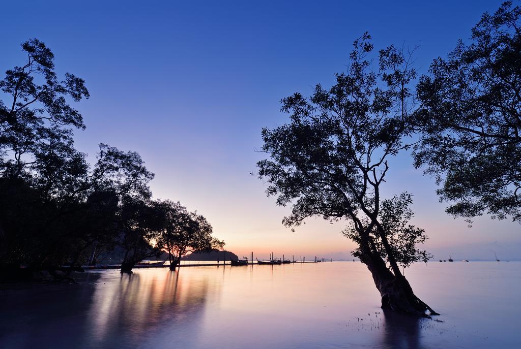 Resort Sunrise Tropical