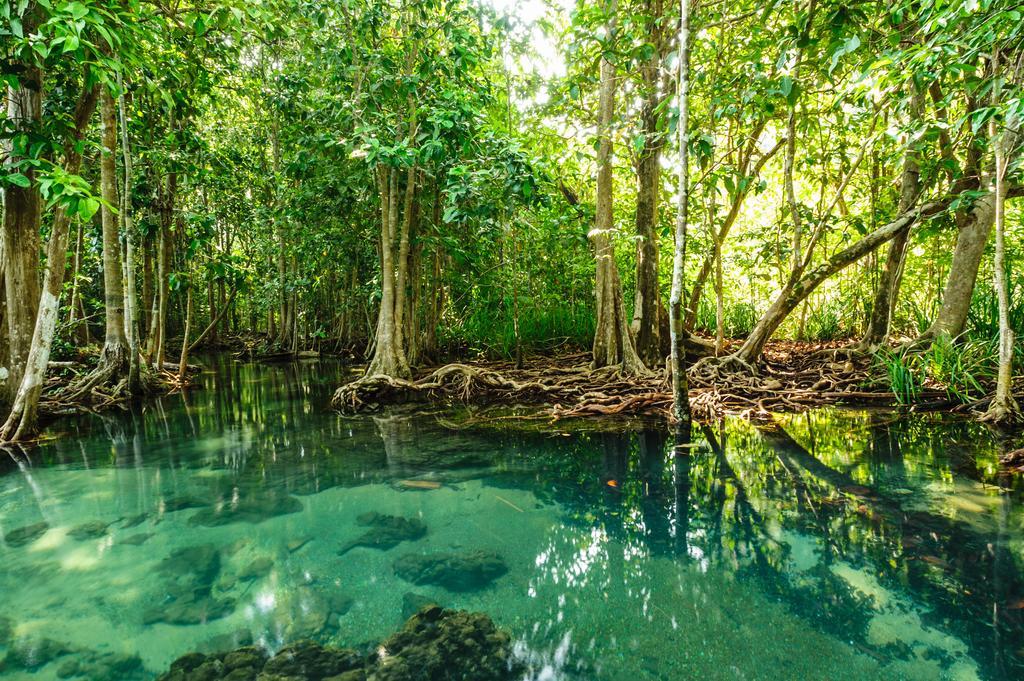 Eden Krabi Pousada