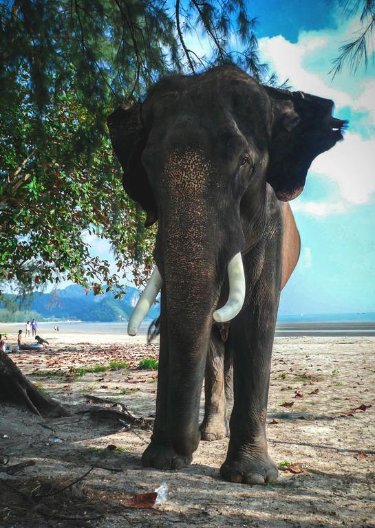 Eden Krabi Pousada