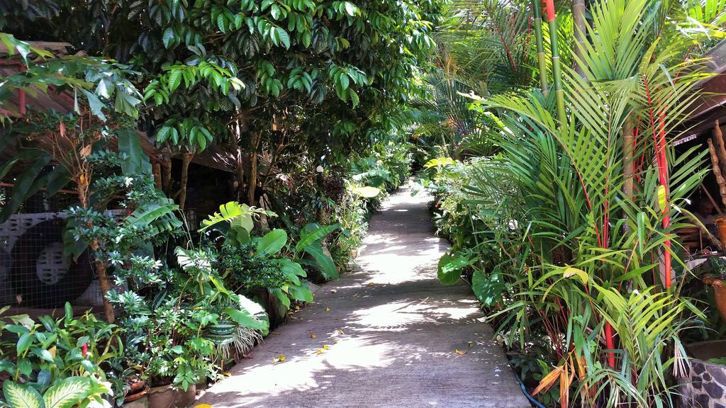 Resort Khao Sok Orquideas