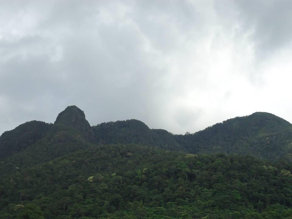 Hut