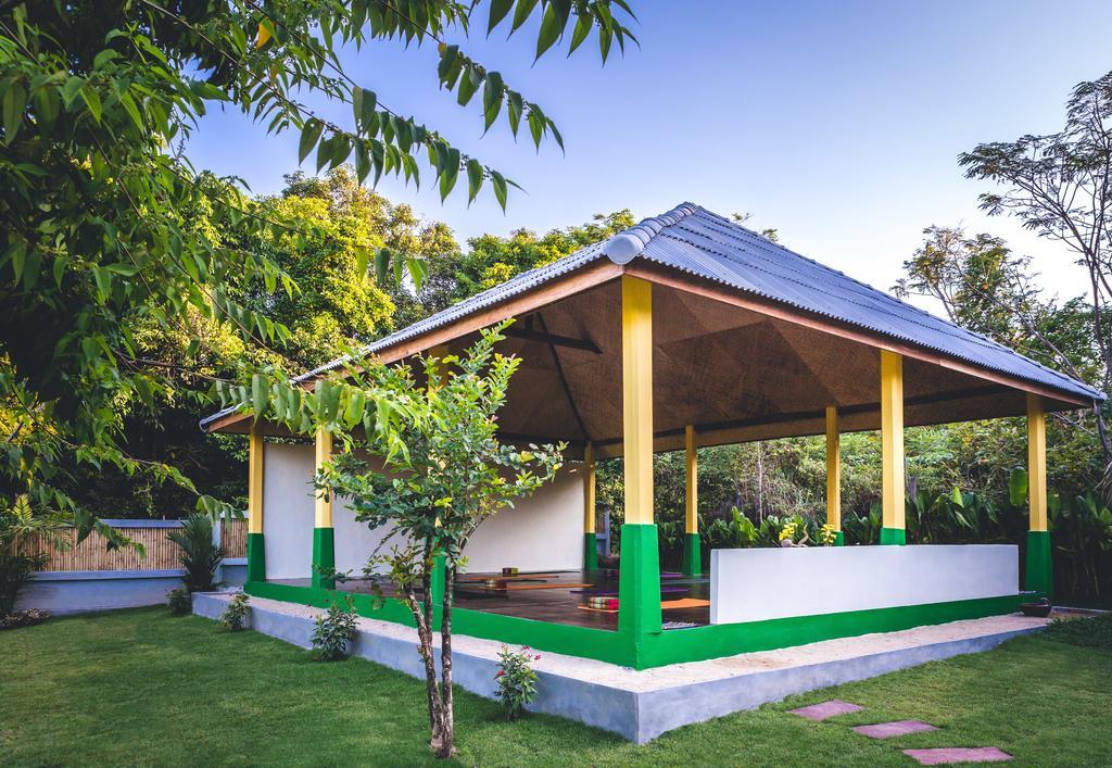 Inn Fruit Tree