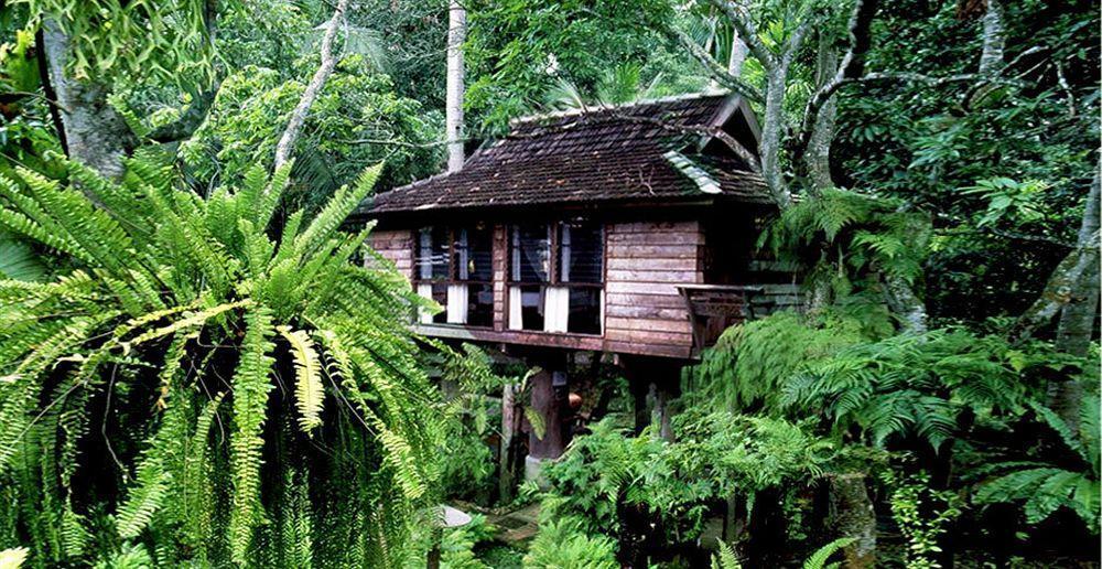 Fern Paradise Resort Chiang Mai