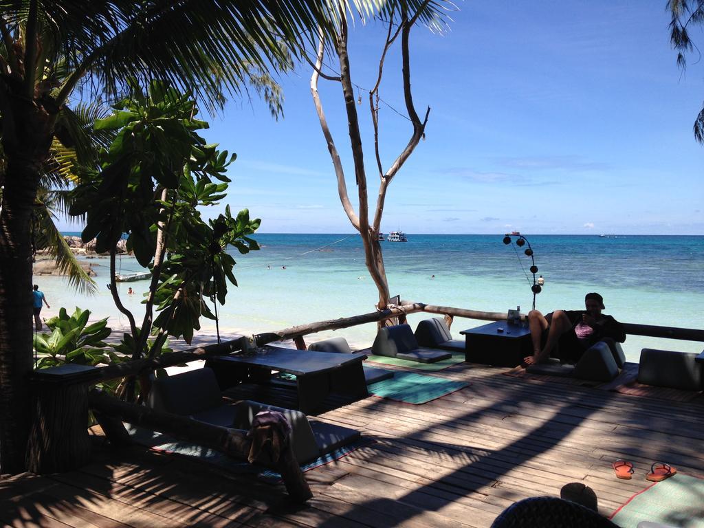 In Touch 2* Koh Tao