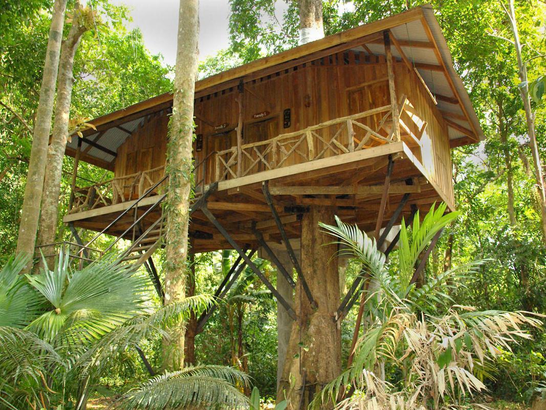 Resort Khao Sok Nature Khao Sok National Park