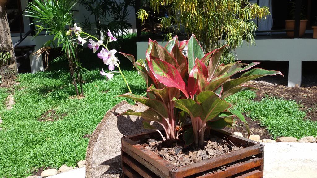 Lucky Gecko Garden Guest house 3*