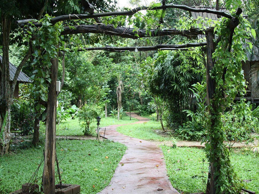 Baan Khao Sok * Khao Sok National Park