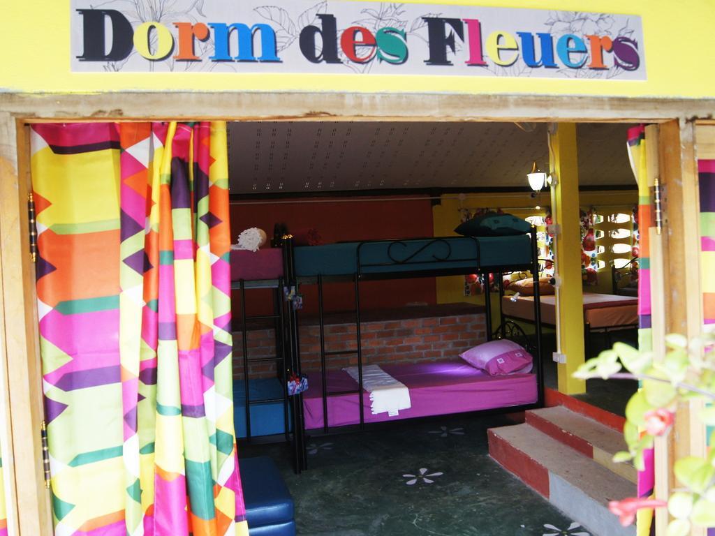 Dorm Des Fleurs Hostel