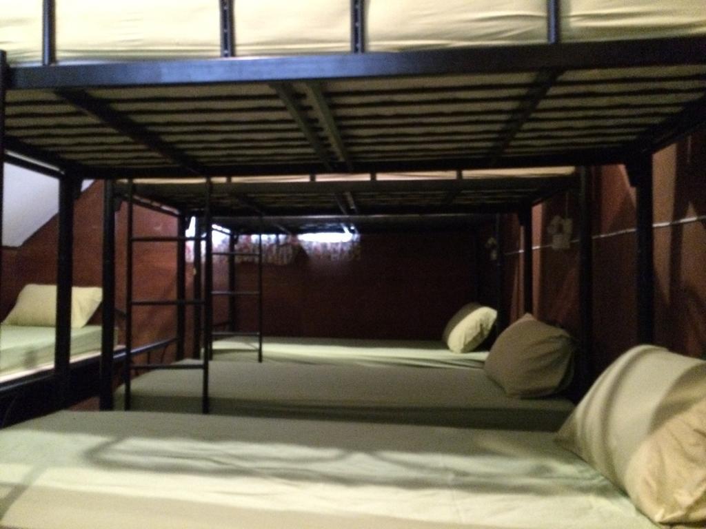 Hostel Jenny