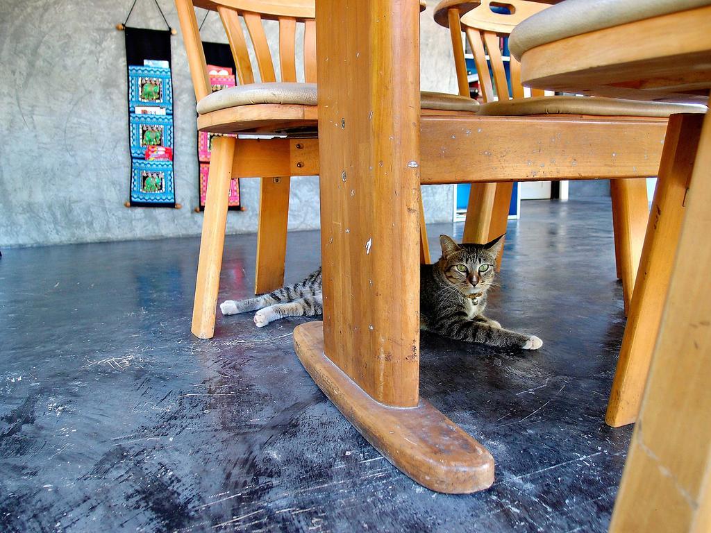 Raven Blue Guest house 2*