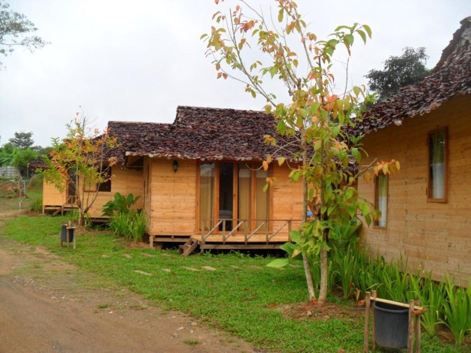 Guest house Forest 2*