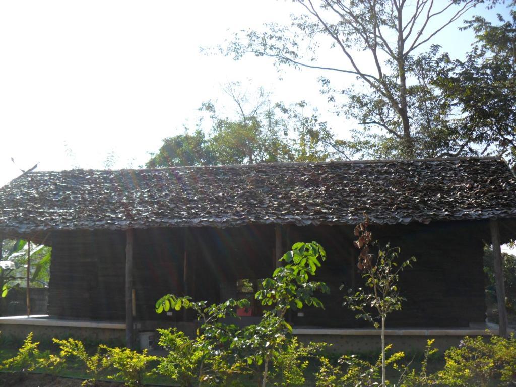 Guest house Forest 2*