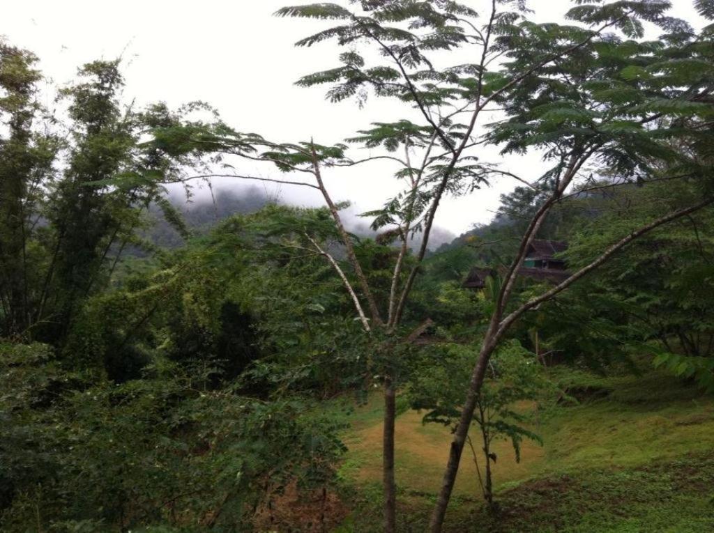 Resort Chang Garden (adults Only) 2*