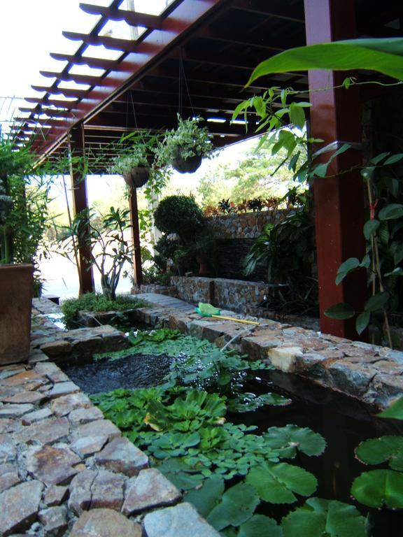 Hotel Daisy