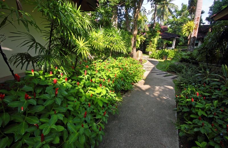 Resort Sunrise Tropical
