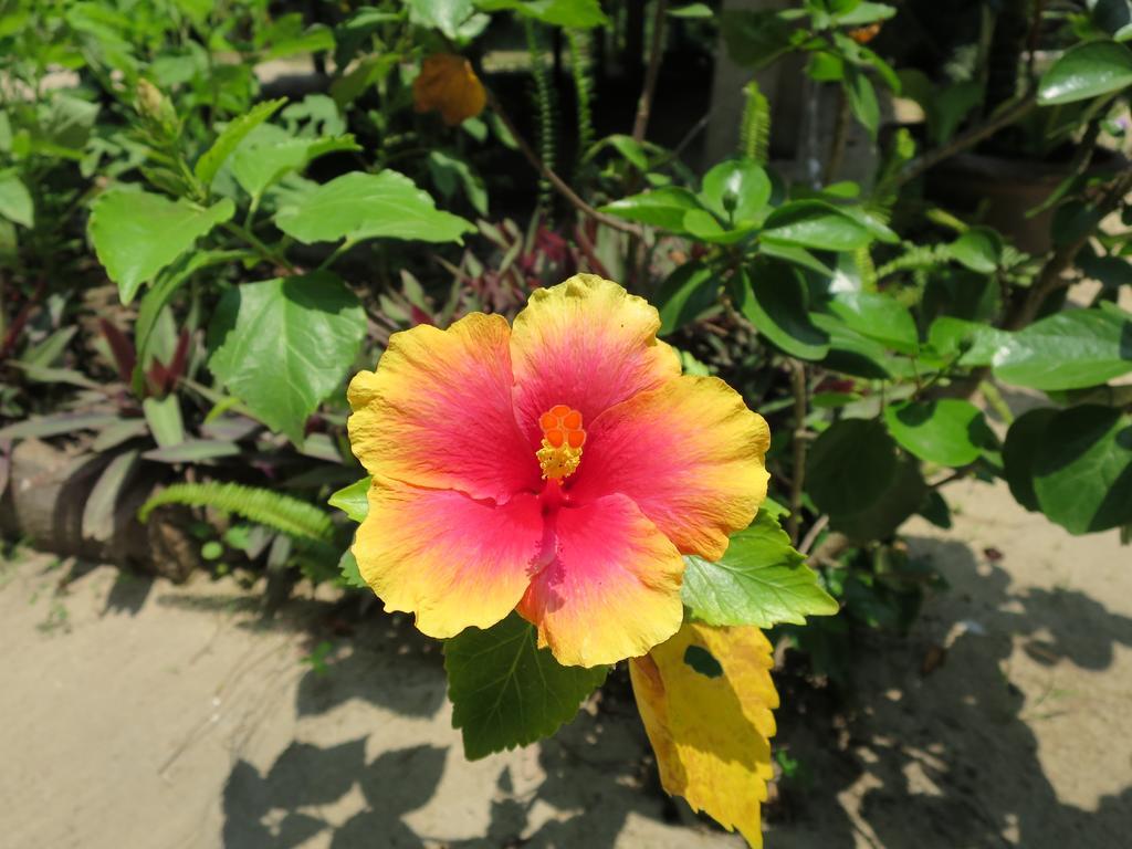Bangbaobeach