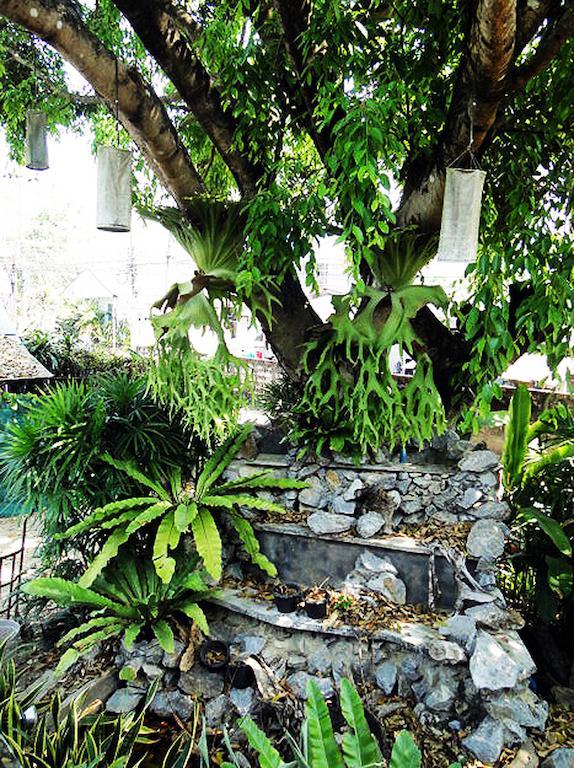 Heuandok - Euang Chiang Rai