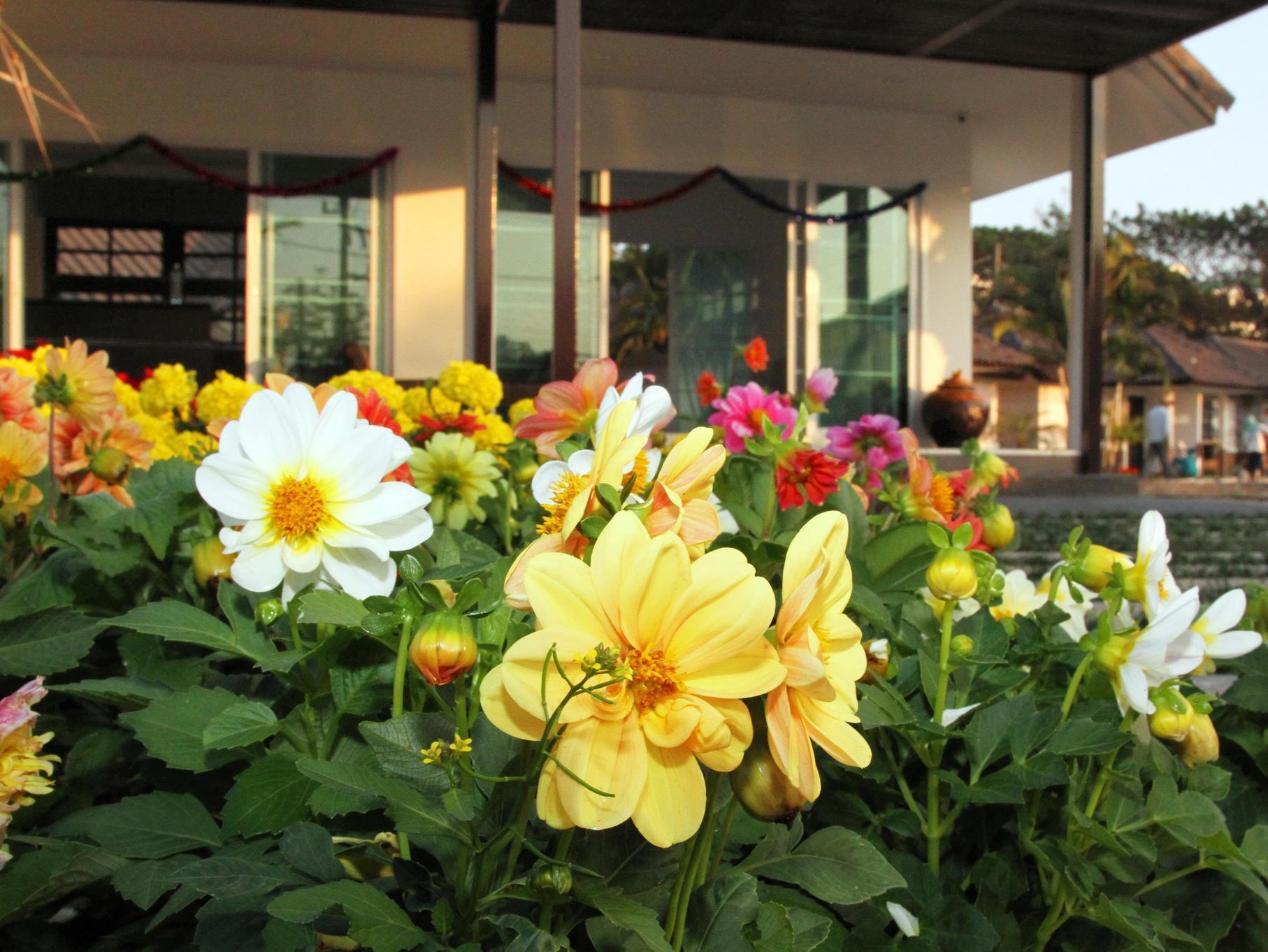 Resort Chiangrai Park