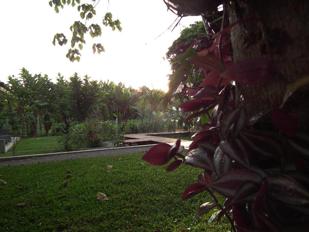 Guest house De Mama 2*