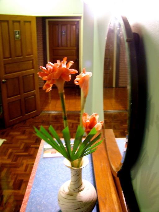 Casa de hóspedes Siri House 2*