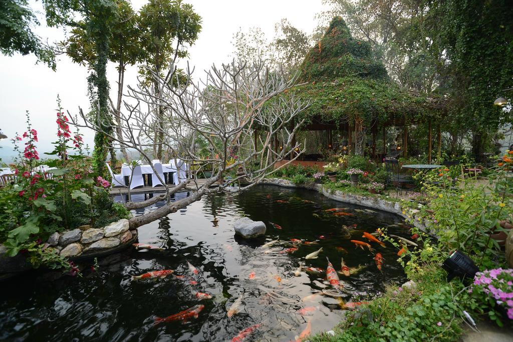 Resort Phu Chaisai Chiang Rai Mountain