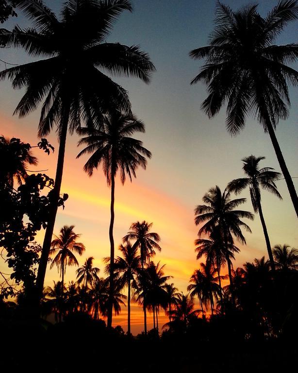 Villa Tropical Season
