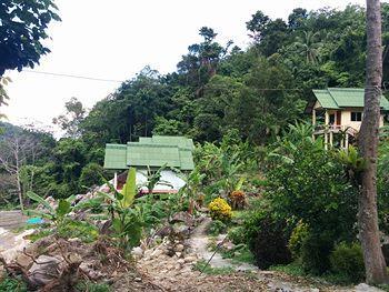 Hotel Bancha Sramanorah Ko Pha Ngan