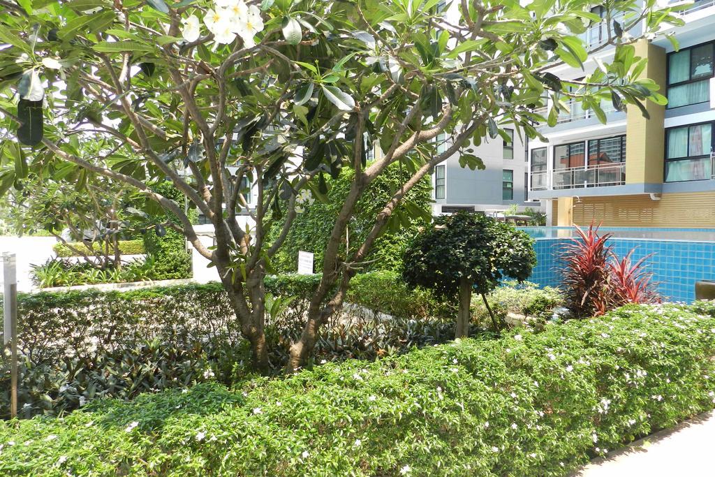 Neocondo @ Pattaya
