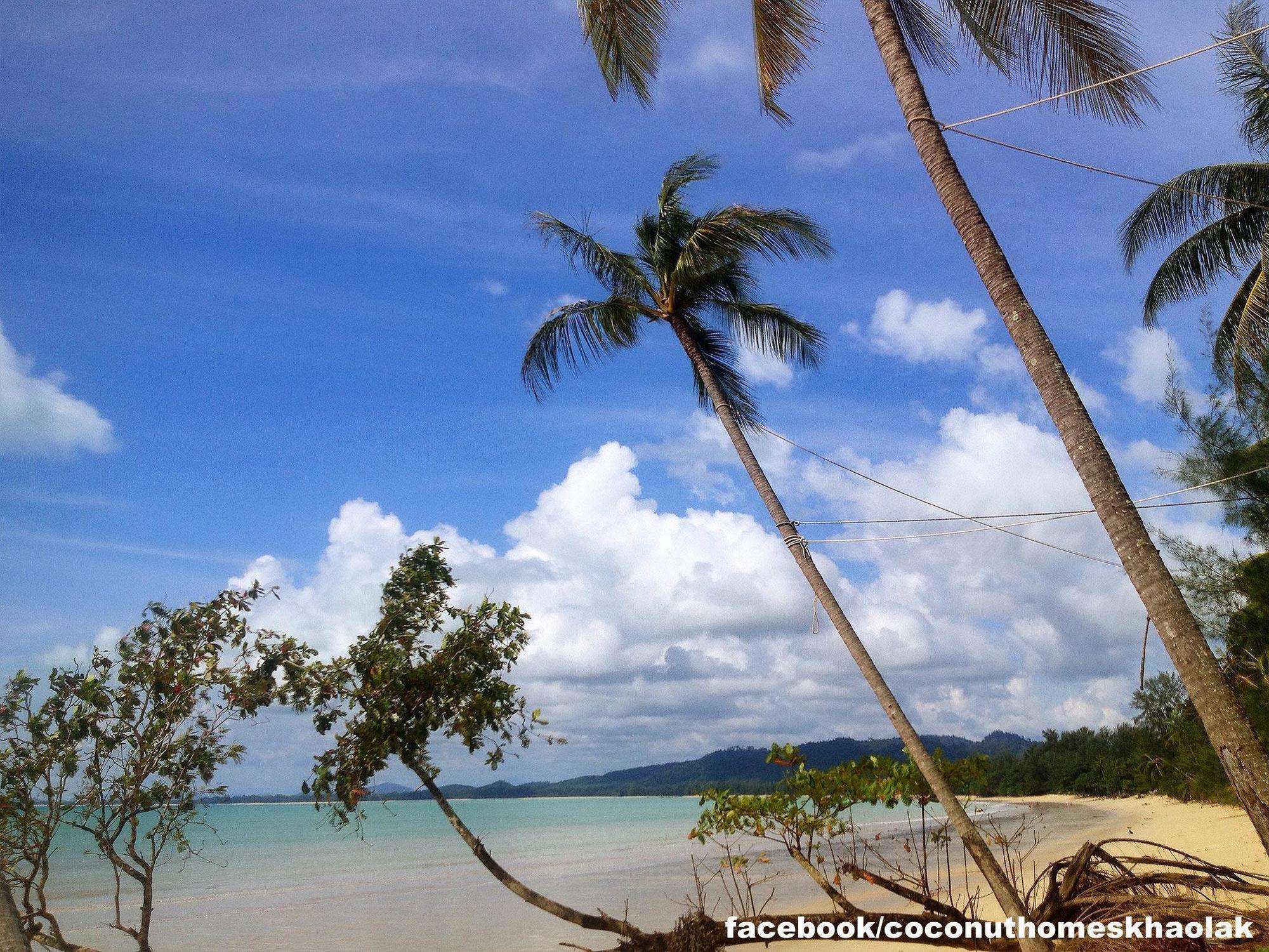 Coconut Homes