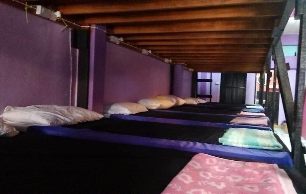 Wild & Wandering Backpacker Hostel & Bar