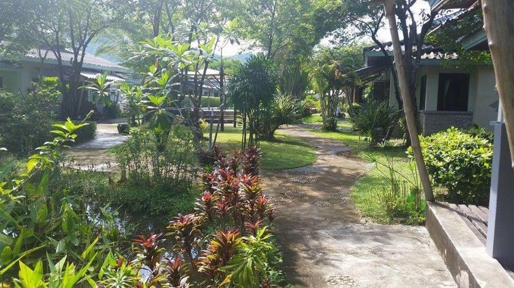 The Samui Native