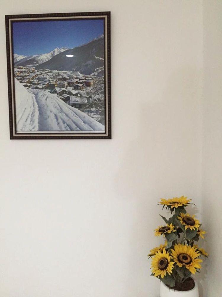 Guest house Swiss House *